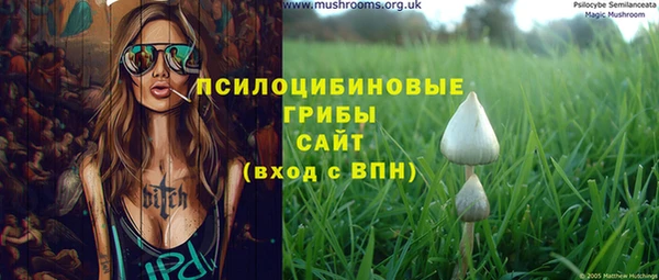 PSILOCYBIN Армянск