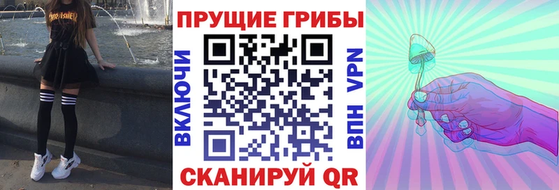 Псилоцибиновые грибы мухоморы Усть-Кут
