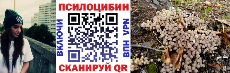 МЕГА маркетплейс  Усть-Кут  Псилоцибиновые грибы прущие грибы 